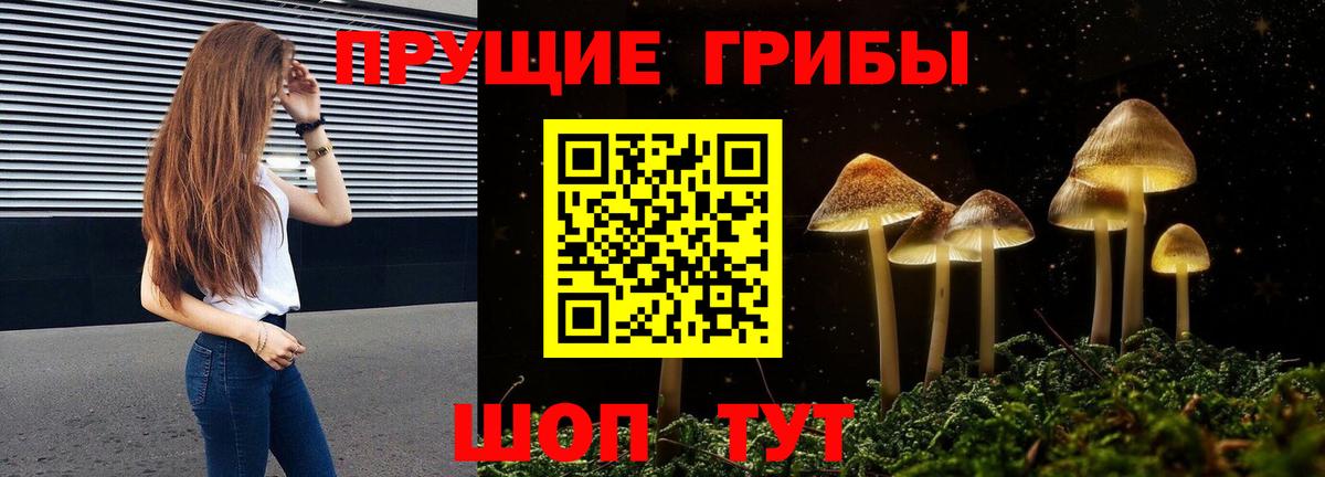 Галлюциногенные грибы Cubensis Арсеньев